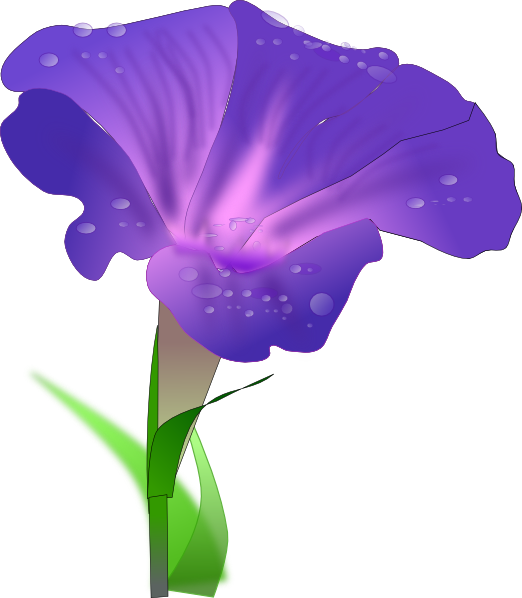 Iris Flower Clip Art 
