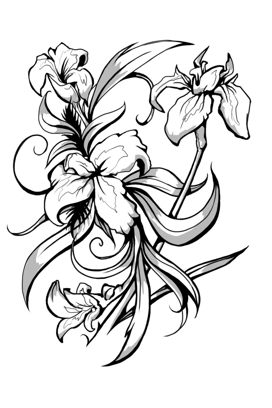 Black And White Iris Flower Tattoo Designs 