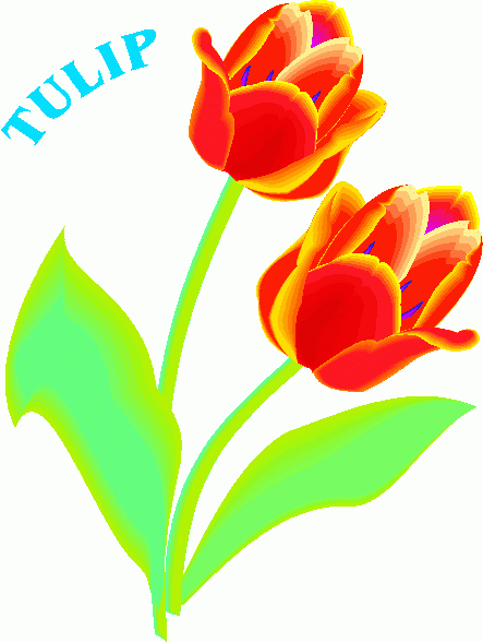 tulip clip art - Clip Art Library