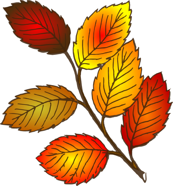 Fall leaves fall autumn free clipart the cliparts