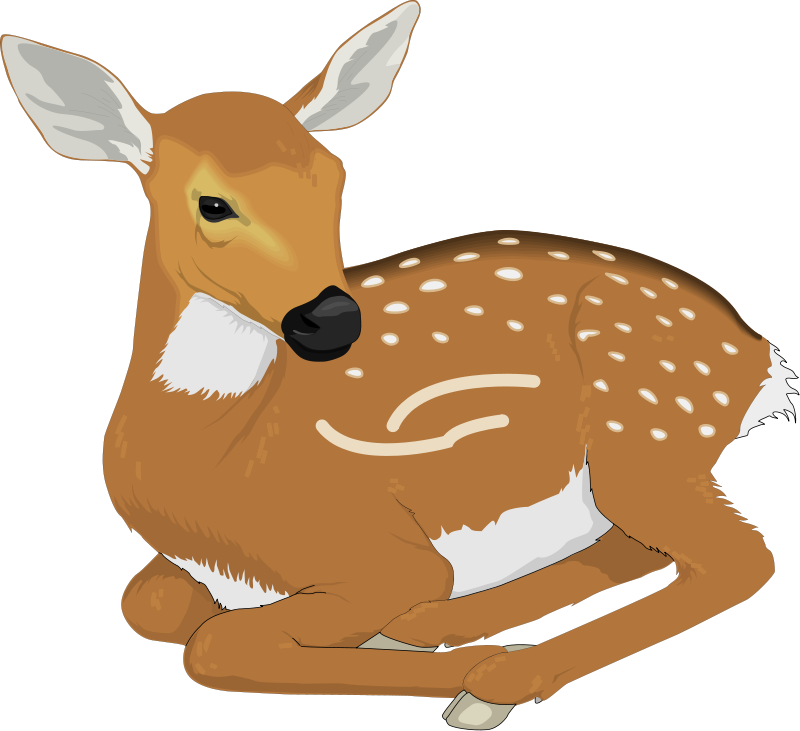 mouse deer clipart - photo #13