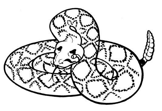 Rattlesnake Clip Art 