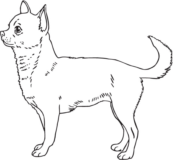 Chihuahua Dog Outline Clip Art For Custom Gifts &, Products 