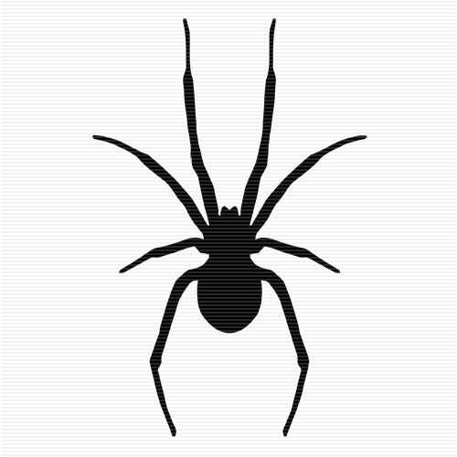 Black Spider Clipart