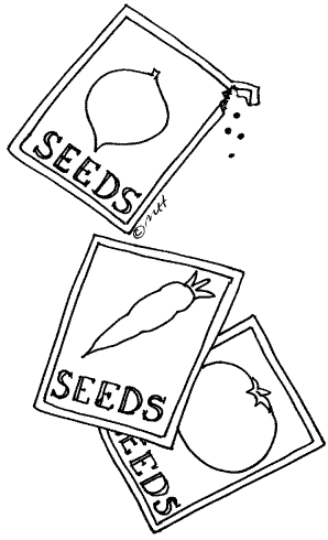 Seed Clip Art 