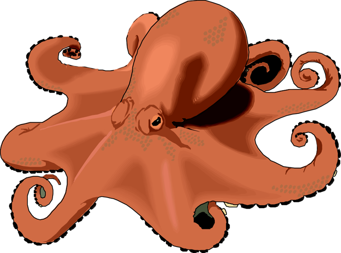 Free octopus 1 clipart free clipart graphics image and photos