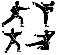 Taekwondo Silhouette 