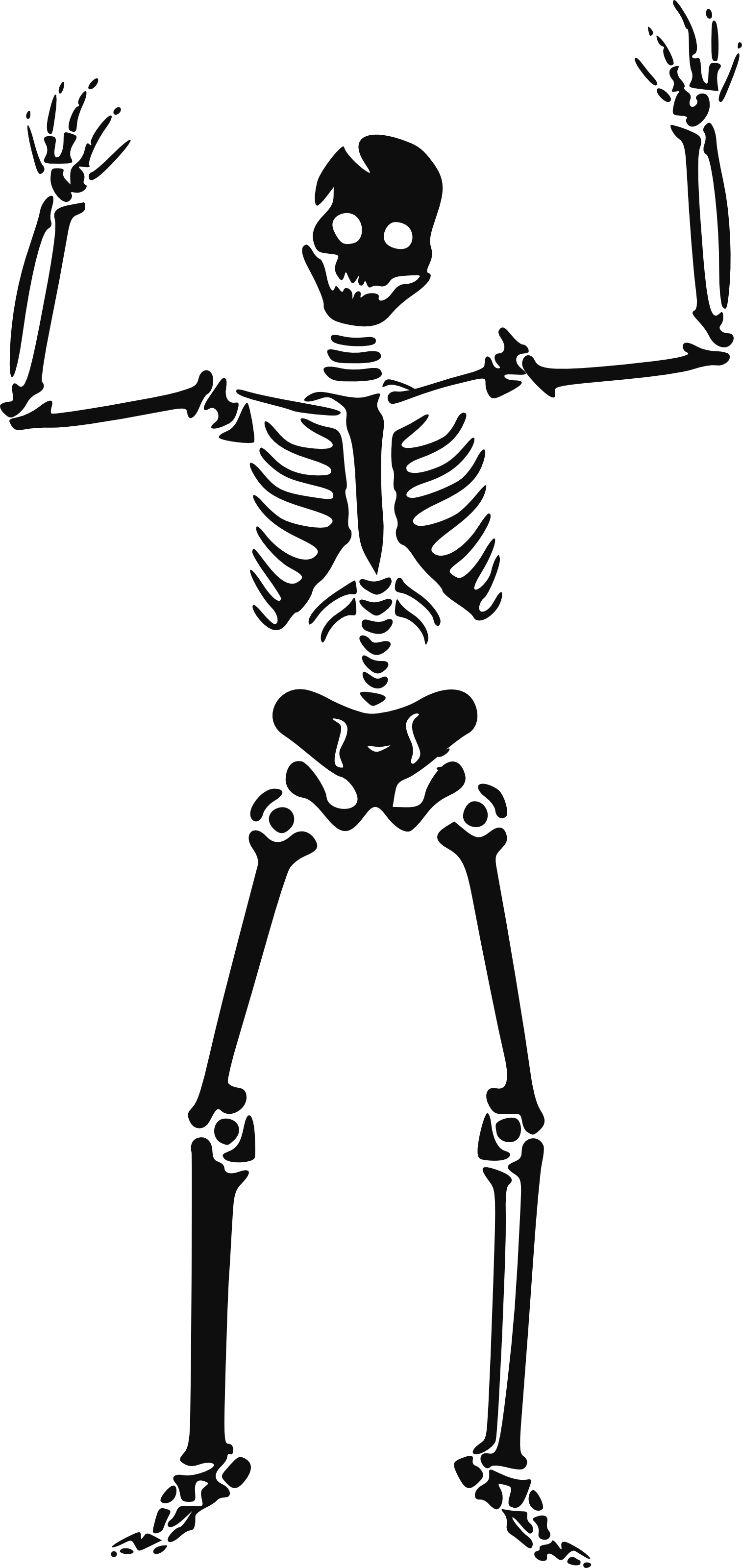 Free skeleton clipart public domain halloween clip art image