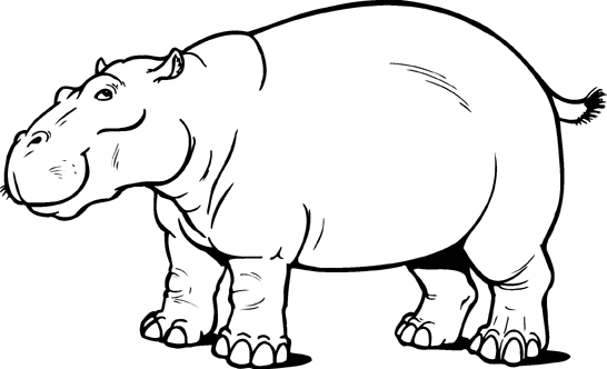 Featured image of post Hippopotamus Clip Art Black And White