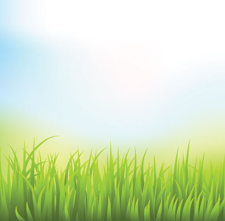 Abstract Green Grass Background with Blue Sky