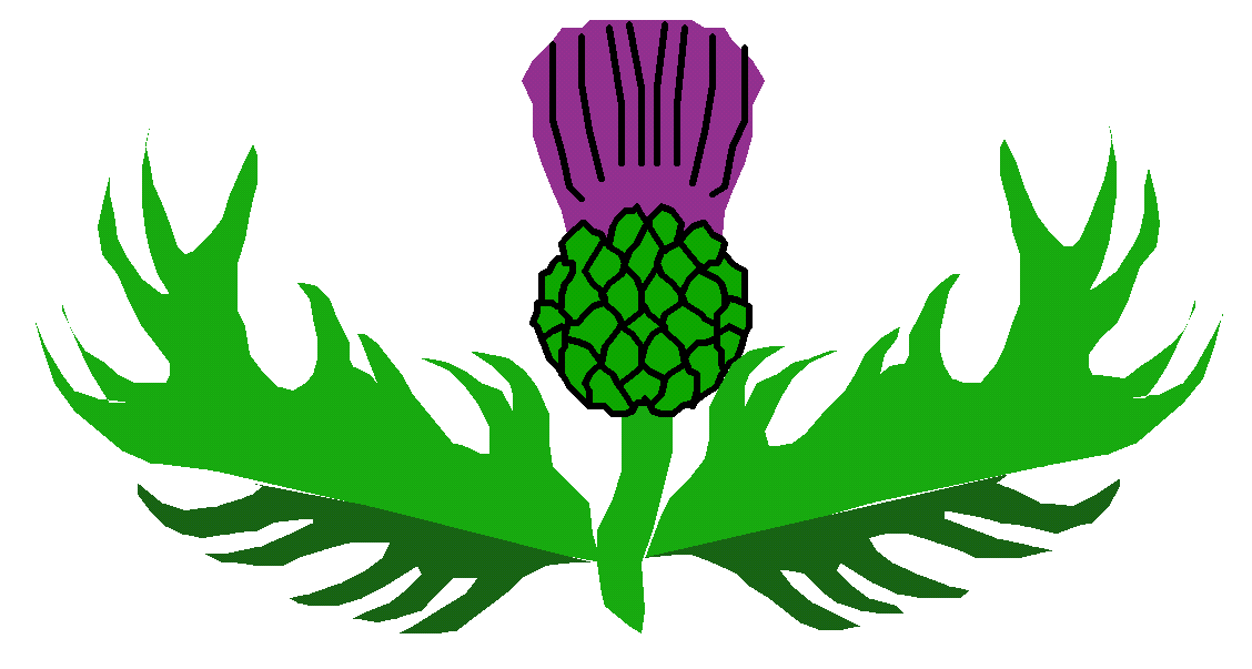 thistle clipart