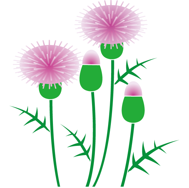 free thistle girl clipart - photo #50