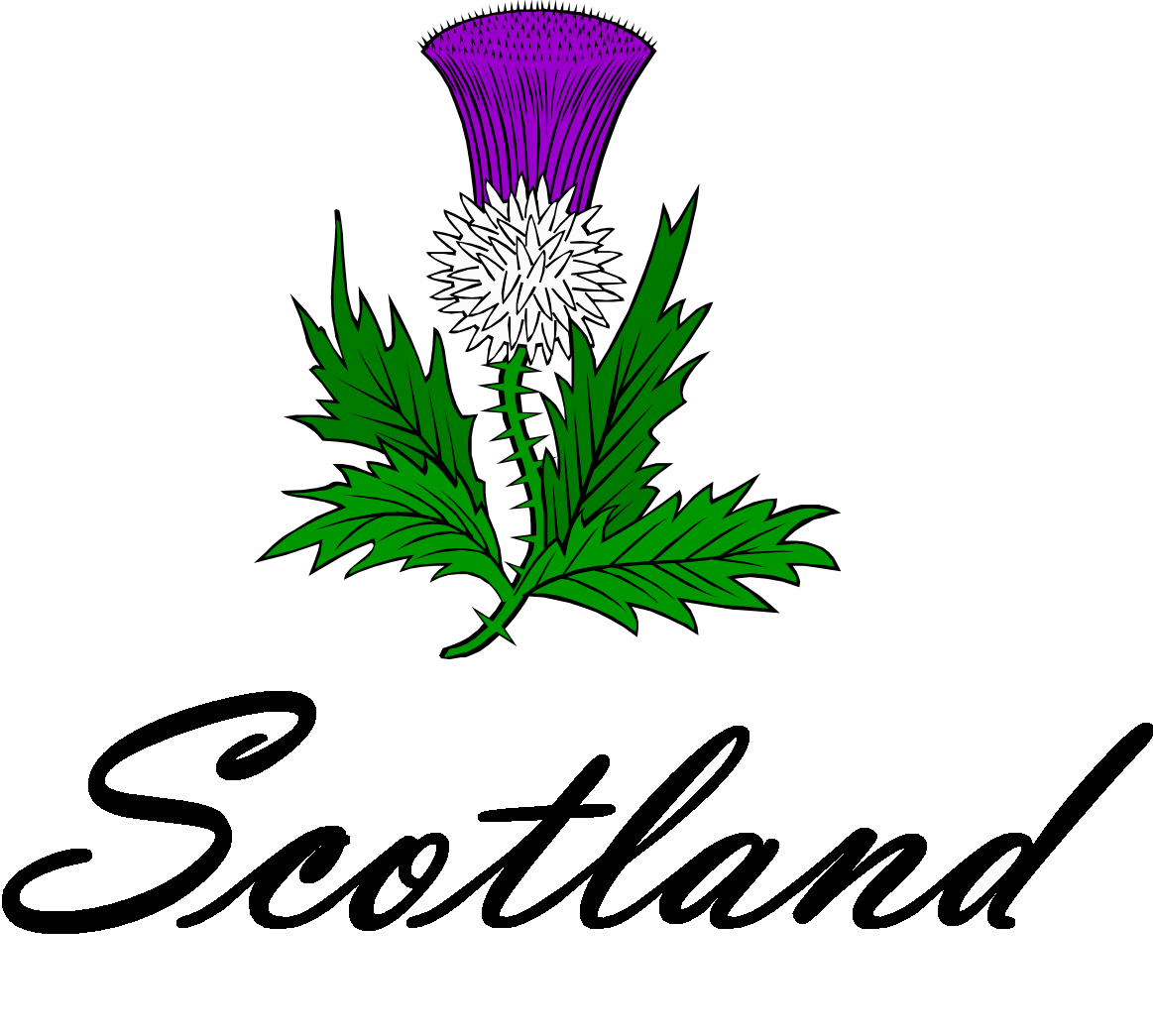 Thistle cliparts