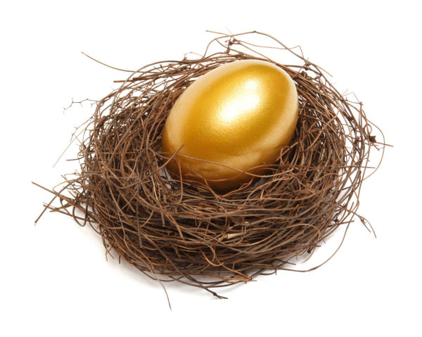Golden egg nest 02HD pictures