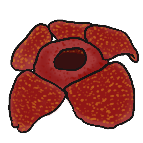 Free Rafflesia Flower Clip Art
