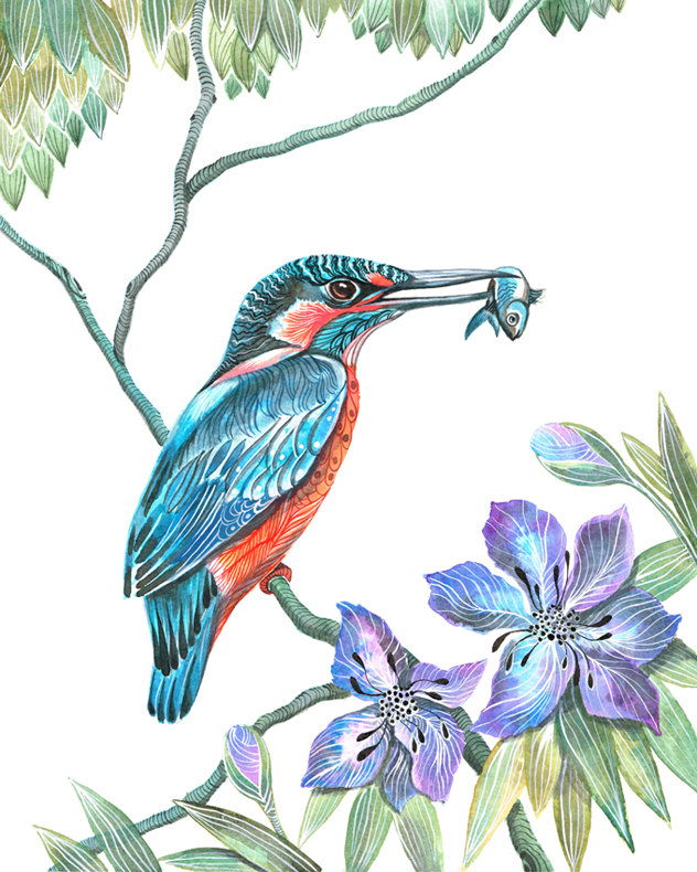 kingfisher clipart - photo #26