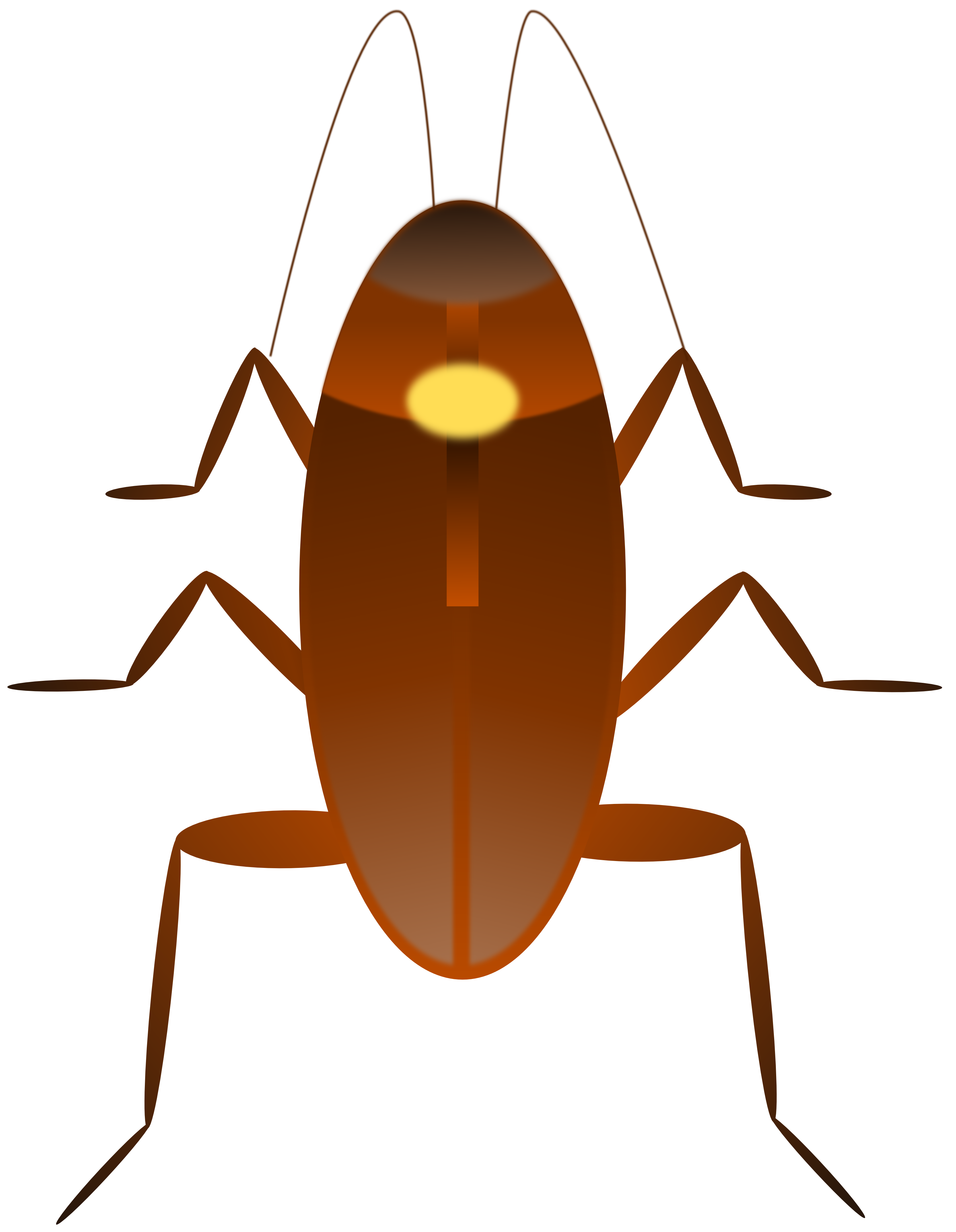 Cockroach Clip Art 