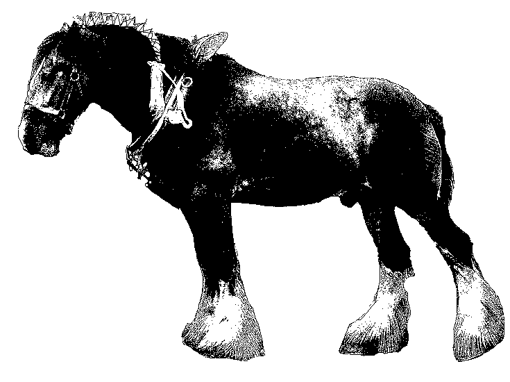 horse pull clipart - photo #20
