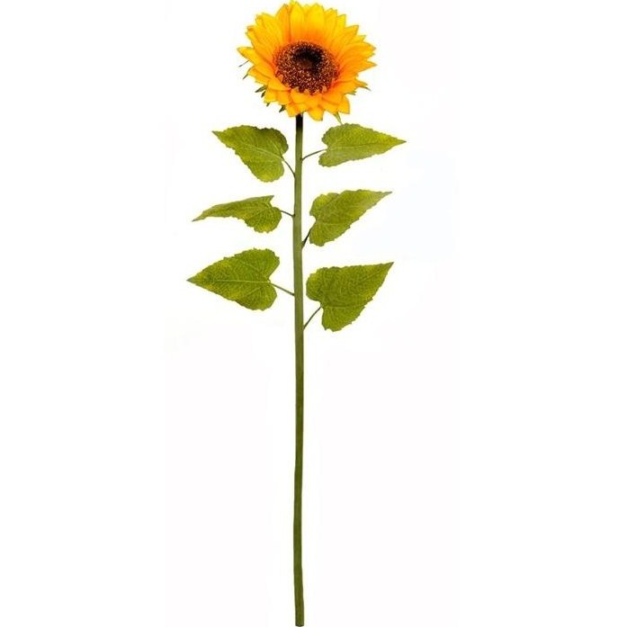 sunflower clip art free download - photo #36