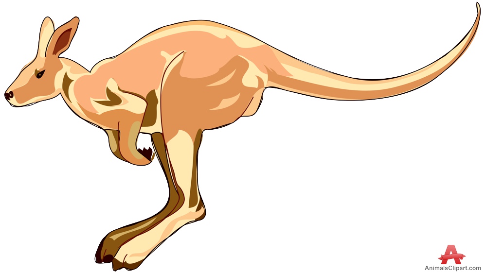 kangaroo clipart animation - photo #32