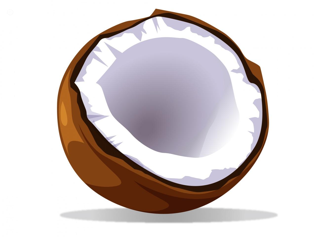 Clipart Coconut 