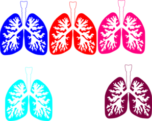 Lung Color Tika Hp Clip Art