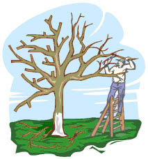 Man Trimming Tree Clip Art 