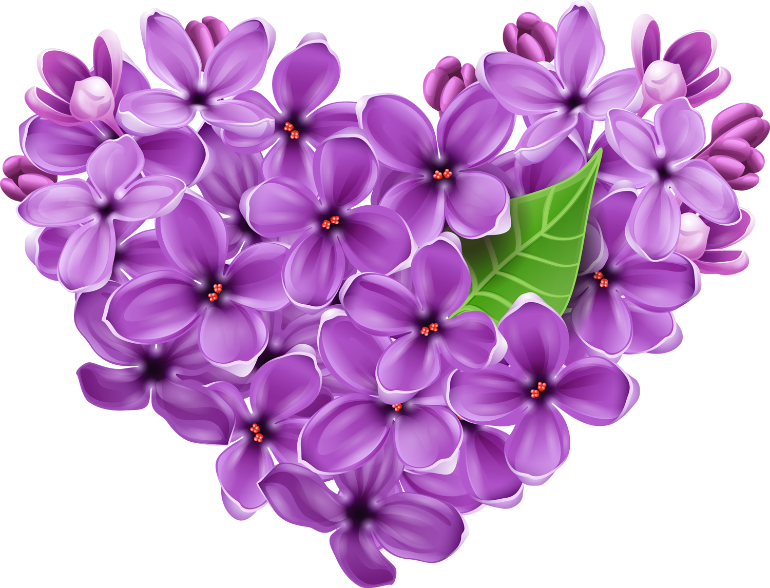 Free Lilac Flower Transparent, Download Free Lilac Flower Transparent