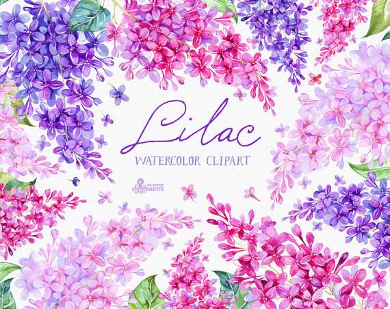 free lilac flower clip art - photo #41