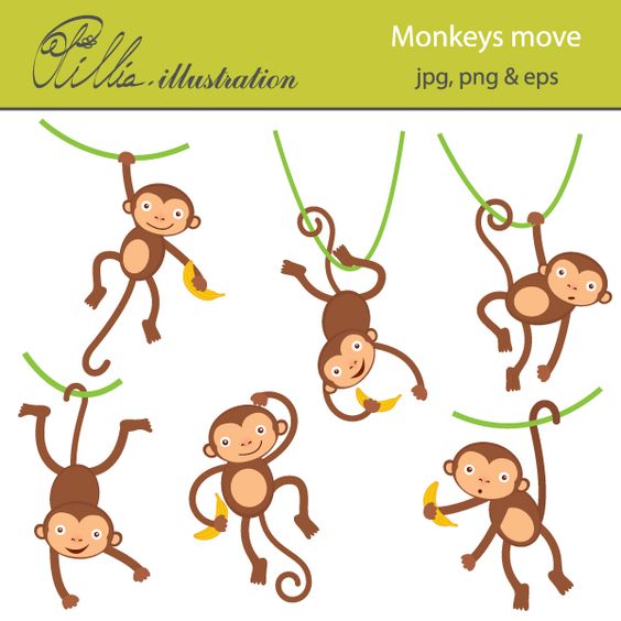 This adorable Monkeys move clipart set comes with 6 cliparts