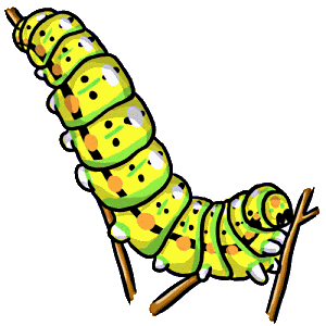 Monarch Caterpillar Clipart