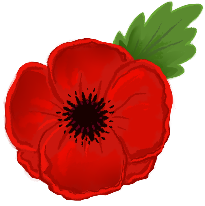 free-poppy-flower-png-download-free-poppy-flower-png-png-images-free