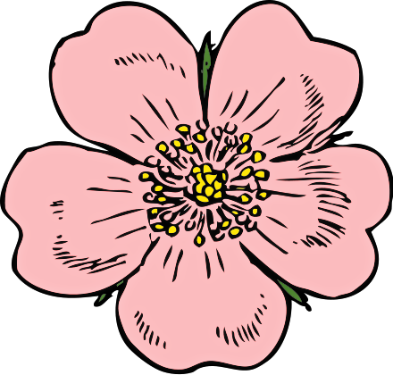 Poppy Flower Clip Art 