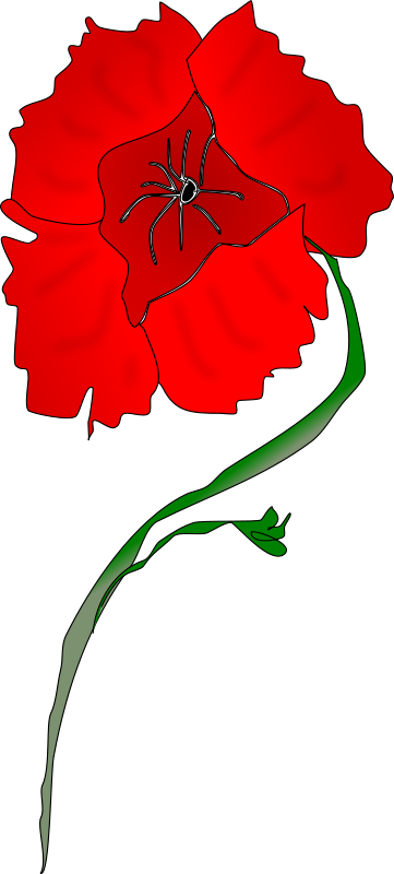 Red Poppy Clipart 