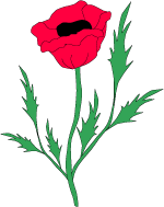 Poppies Clip Art 