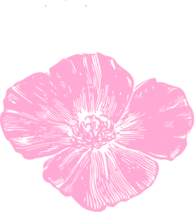 Pink Poppy Clip Art 