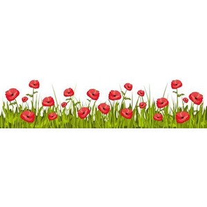 Poppy Border: Clip Art, Page Border, and Vector Graphics