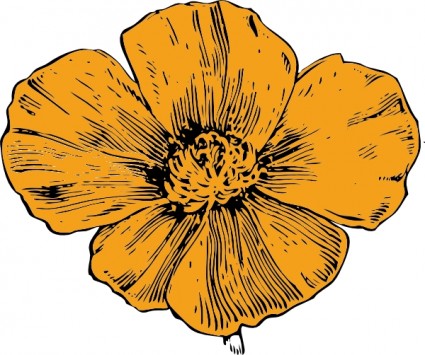 Poppy flower clip art Free vector for free download about 