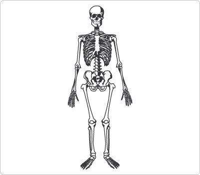 Skeleton hit the download button now clipart image