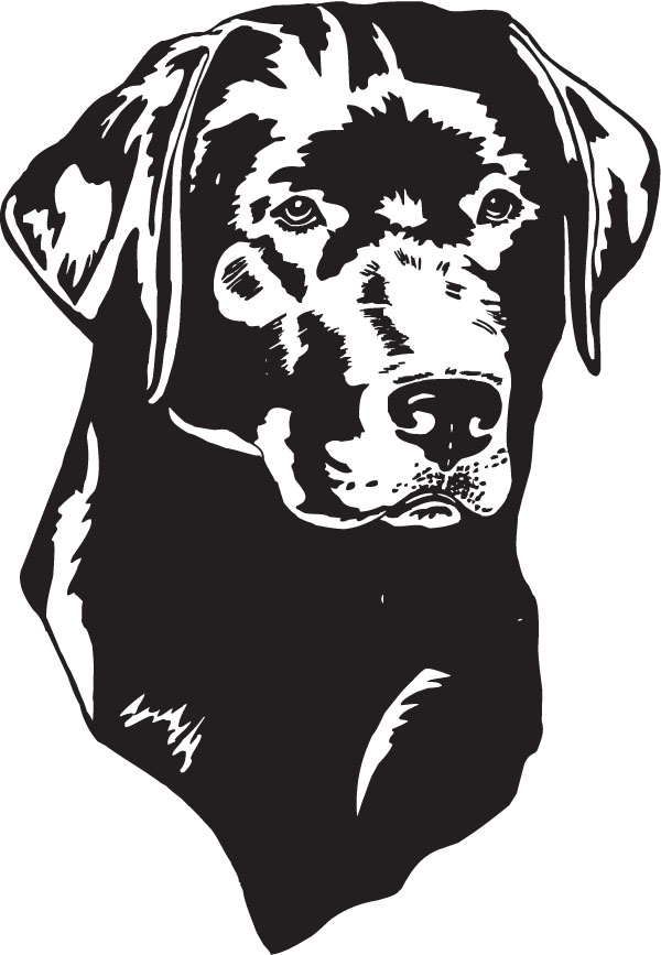 Black Labrador Dog Head Clip Art For Pet Engraved Products