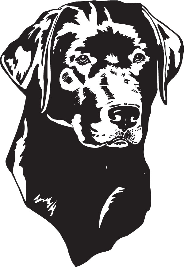 Black Labrador Dog Head Clip Art For Pet Engraved Products 