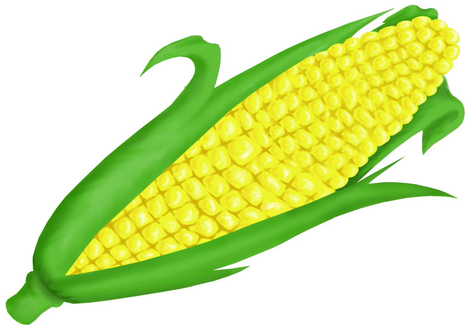 Free Corn Clipart Pictures 