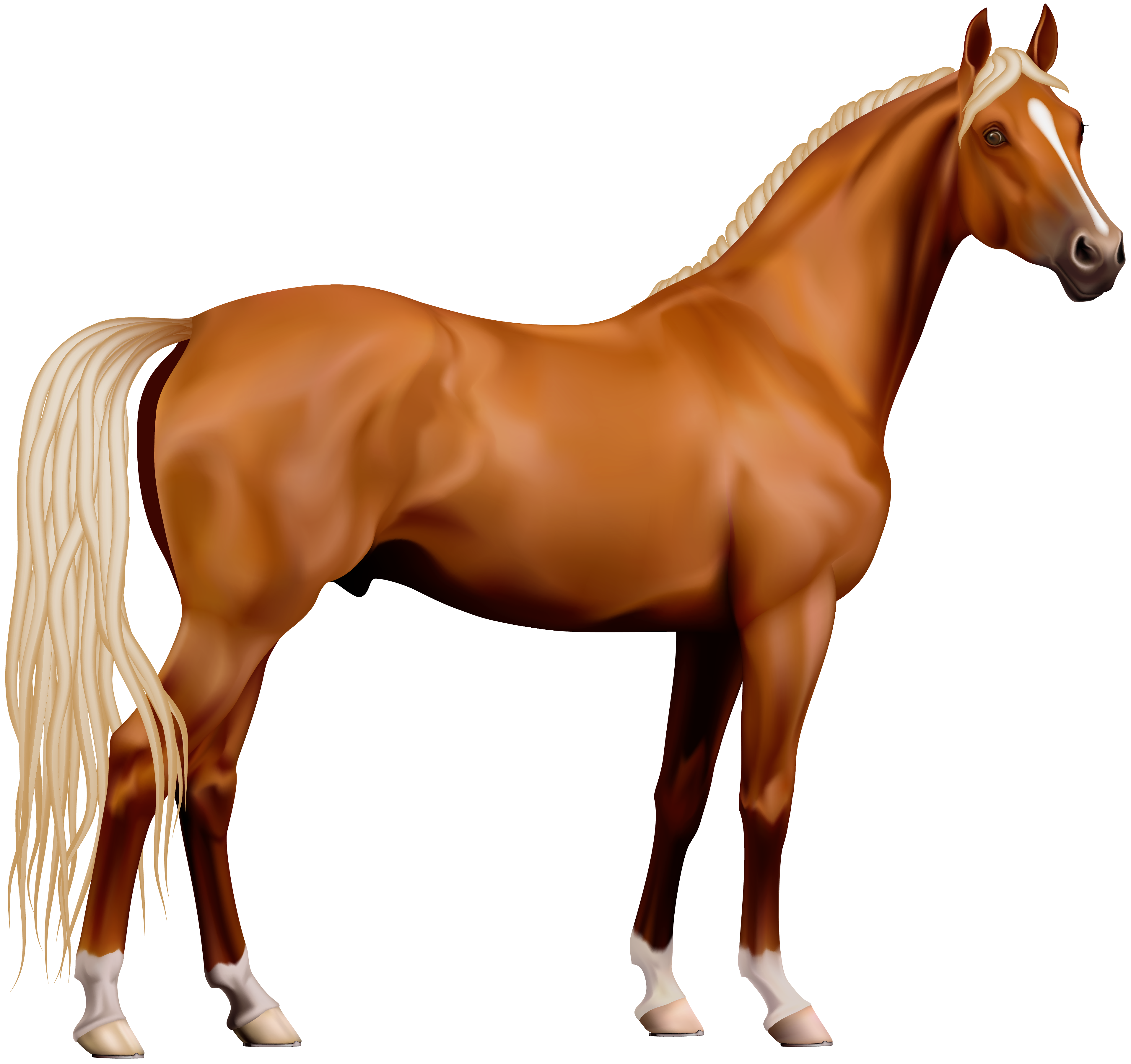 horse-images-with-white-background-clip-art-library