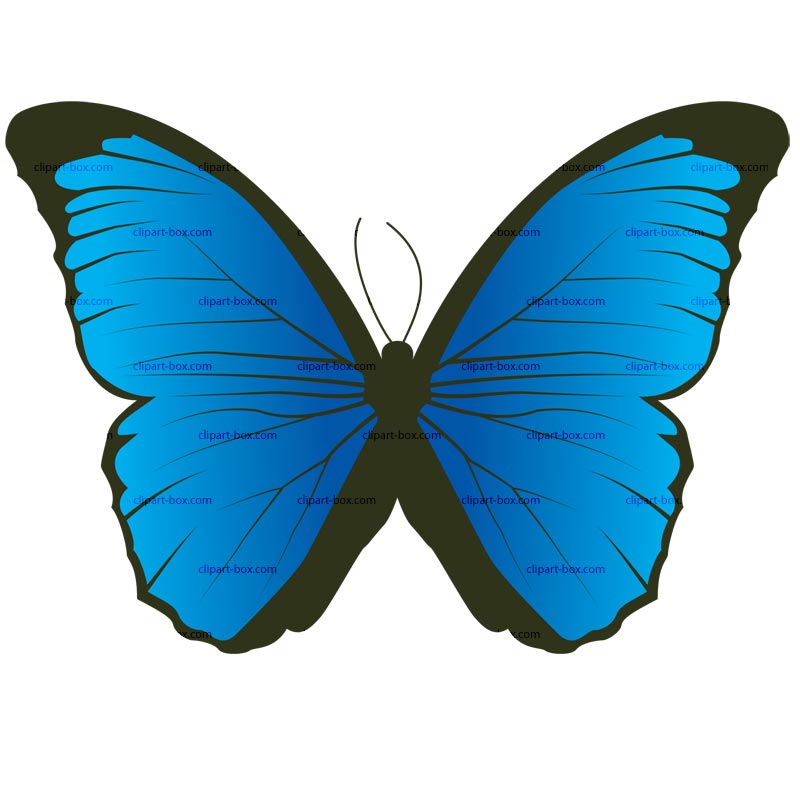 image clipart papillon gratuit - photo #6