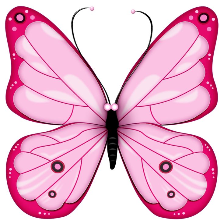 image clipart papillon gratuit - photo #14