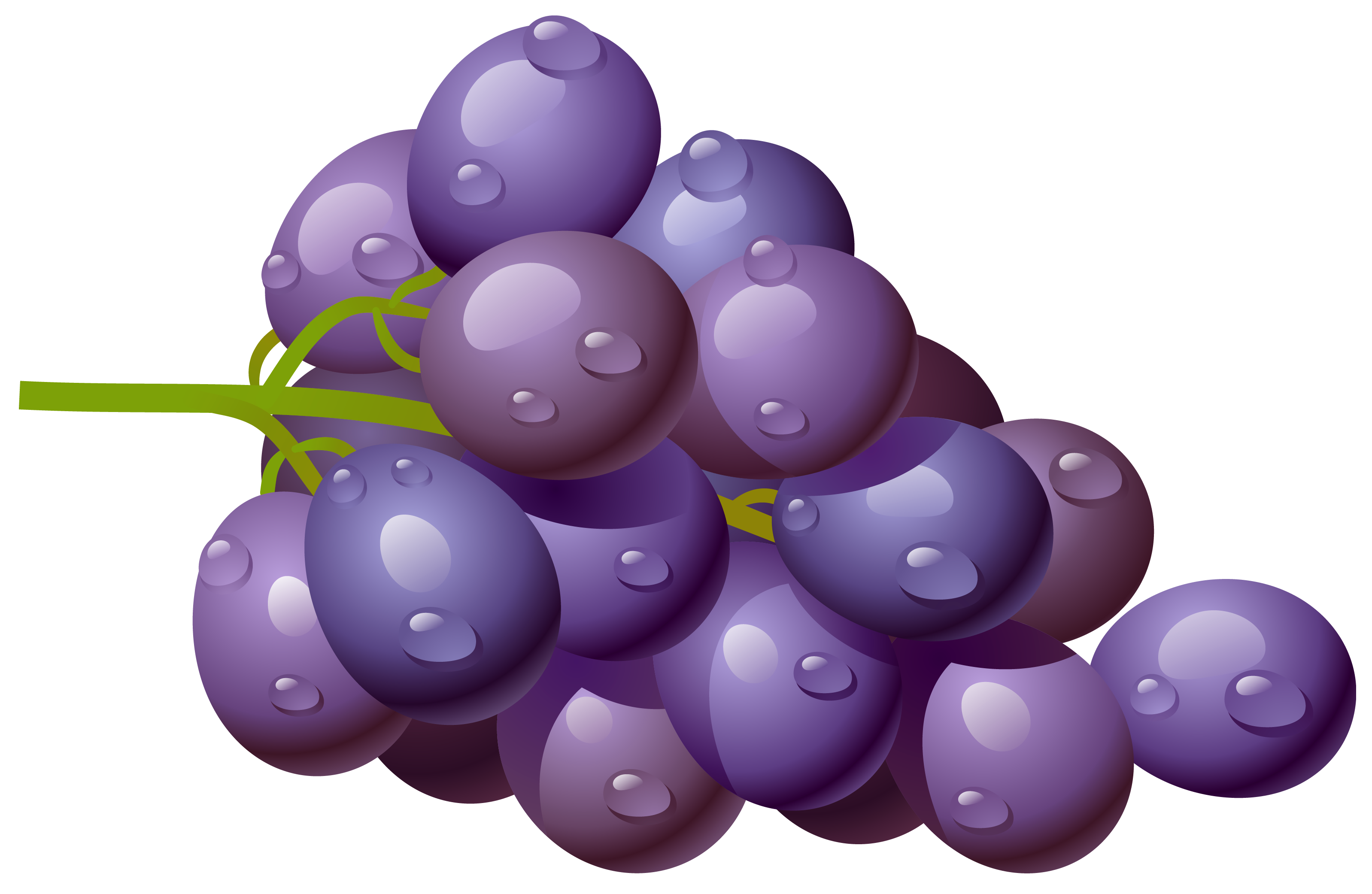 Grapes clip art at vector clip art image 