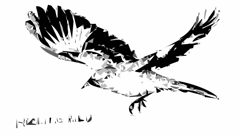 Free Clipart: Mockingbird Bird 