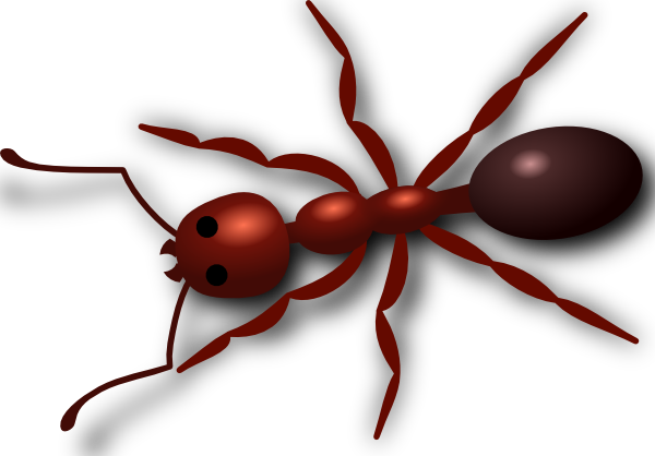 Free Ant Clipart 
