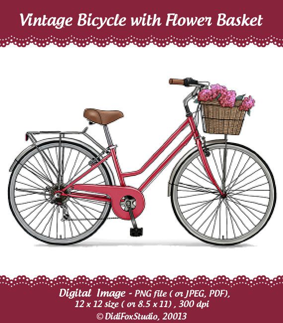 clipart bicycle basket - photo #16
