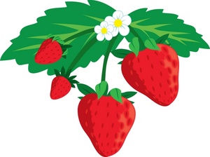 Strawberry Clipart Border 